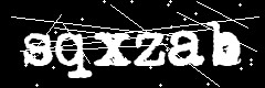图形验证码
