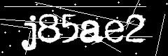 图形验证码