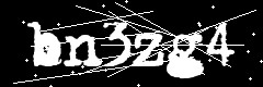 图形验证码