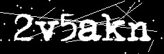 图形验证码