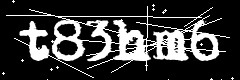 图形验证码