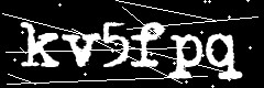 图形验证码